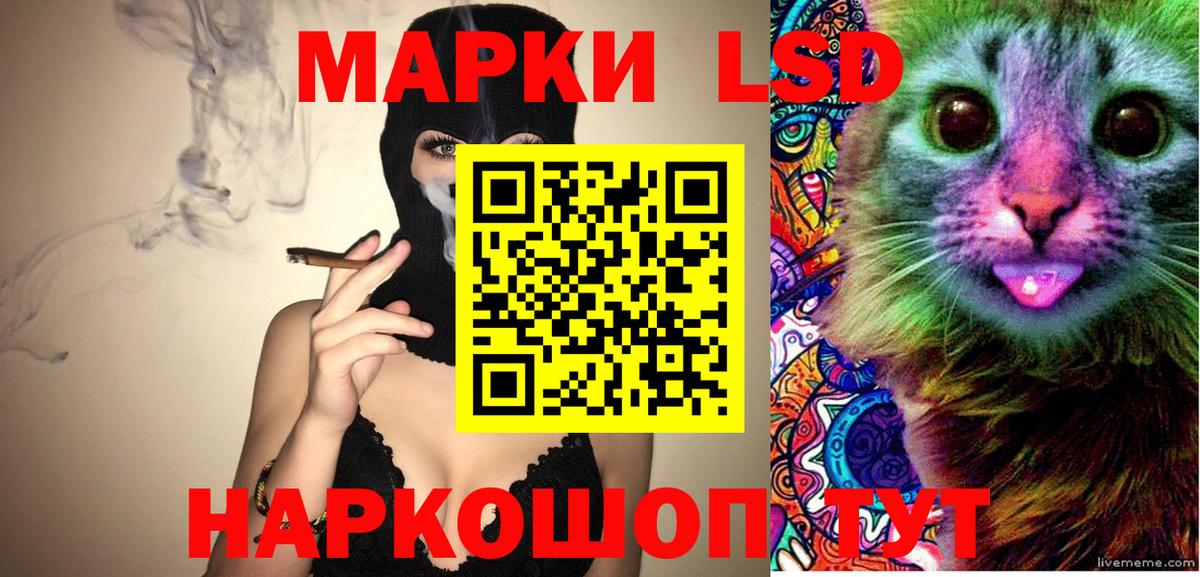 Славгород  Наркотические марки 1500мкг  Вход с VPN  Наркотические марки 1500мкг 
