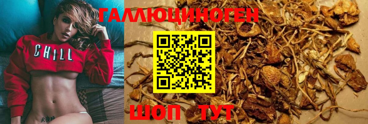 Псилоцибиновые грибы MAGIC MUSHROOMS  Вход с VPN  Галлюциногенные грибы MAGIC MUSHROOMS  Славгород 